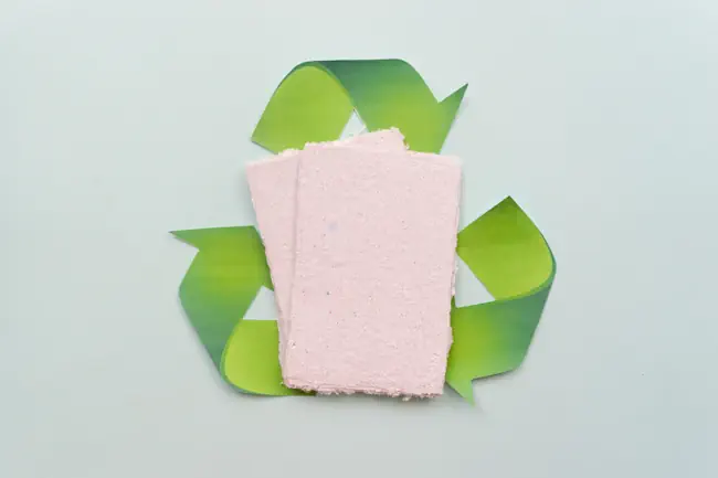 Century Pulp & Paper: Innovating for sustainability