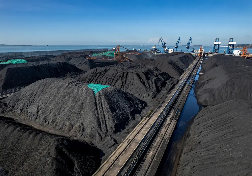 Next-Generation Energy Storage by Birla Carbon