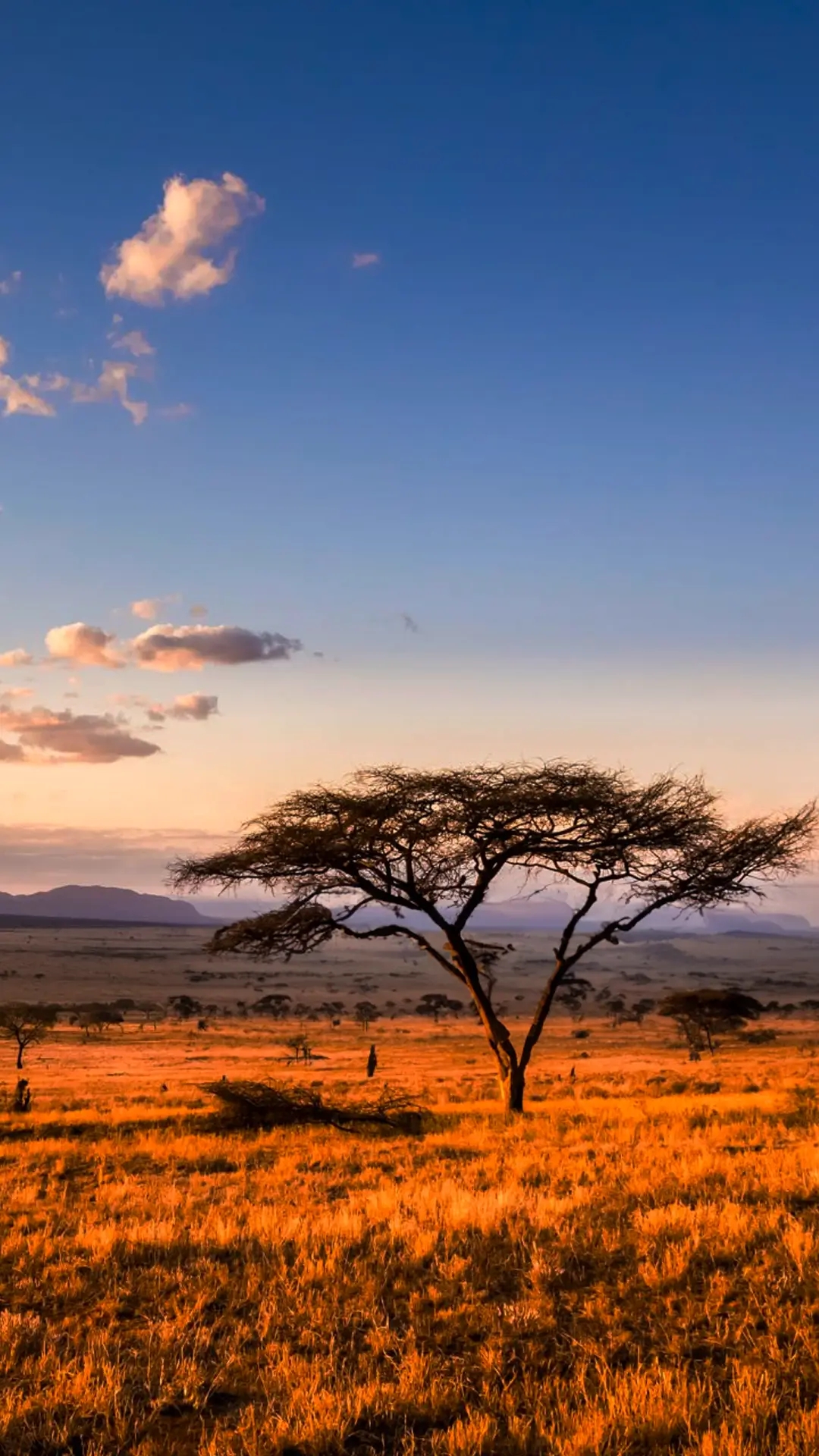 Kenya