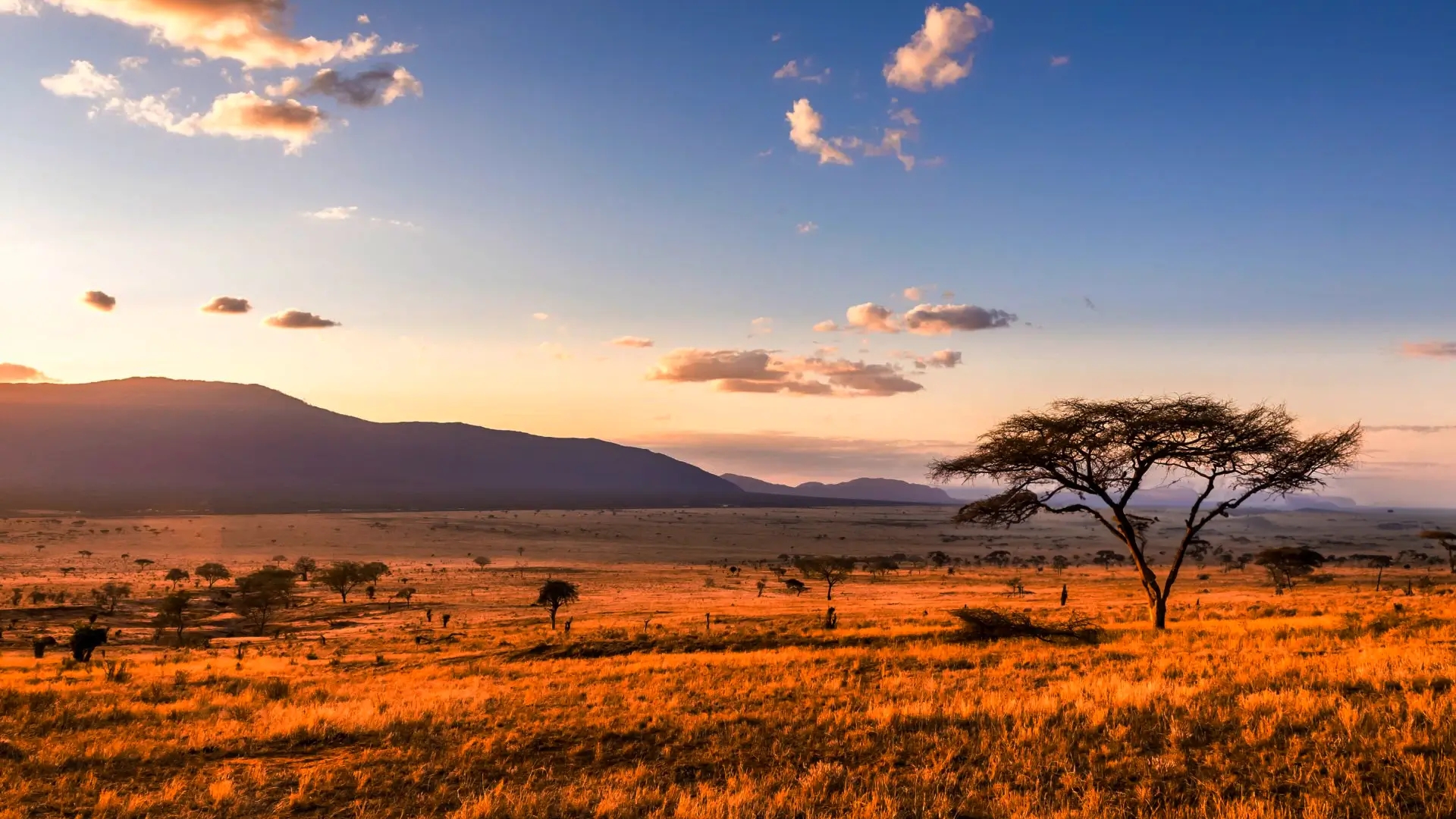 Kenya