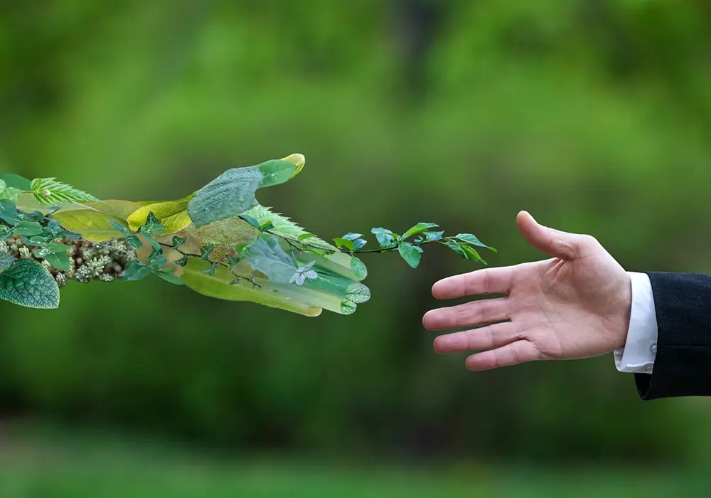 Greening the future