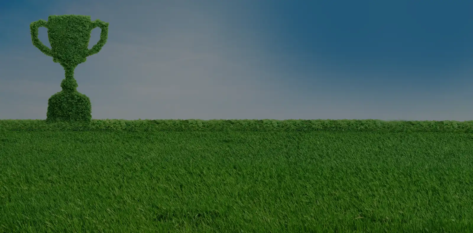 The gold standard in sustainability