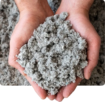 Birla Cellulose